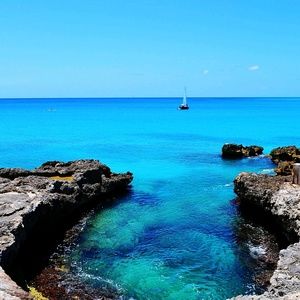 Meet your Posher, Carolynn